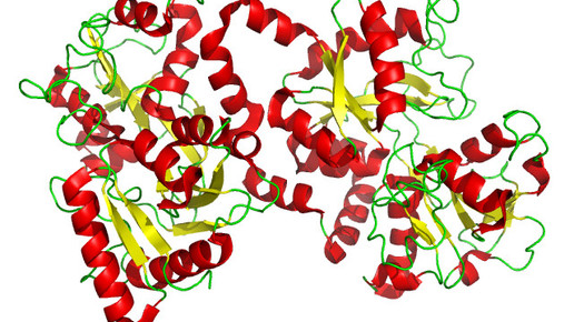 Lactoferrin wikipedia
