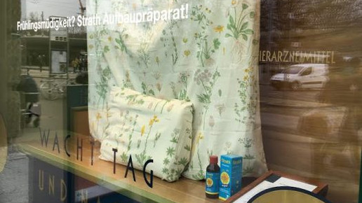 bellevue-apo fenster26 bellevue-apo