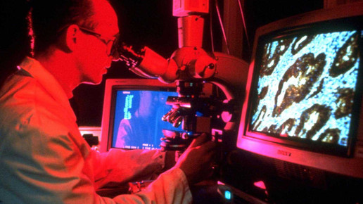 Immer mehr Krebserkrankungen