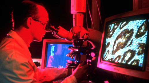 krebsforschung astrazeneca