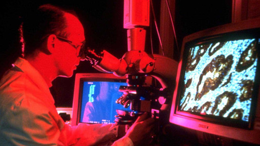 krebsforschung astrazeneca