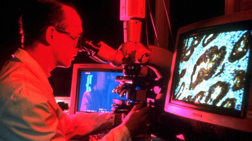 krebsforschung astrazeneca