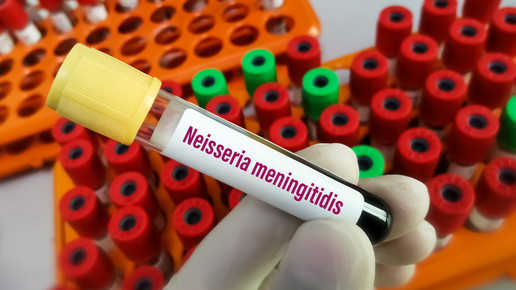 Test auf Meningokokken