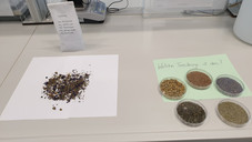 Quiz-Stationen in PTA-Schule