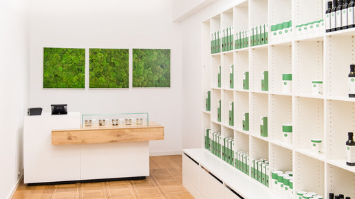 theke regal hanfapotheken