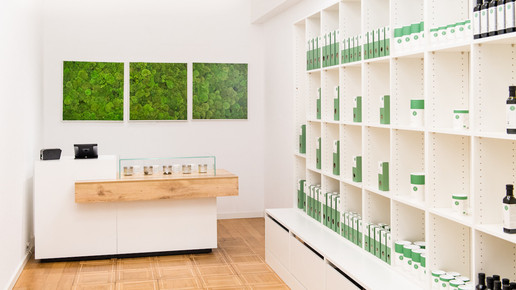 theke regal hanfapotheken