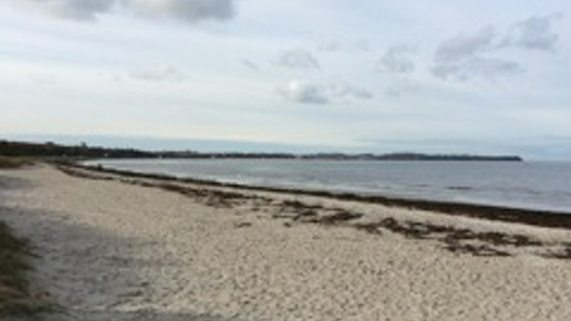 Boltenhagen2 Herrmann