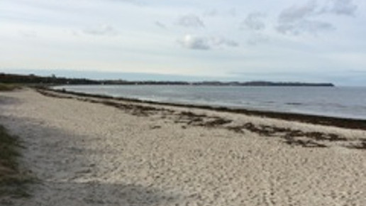 Boltenhagen2 Herrmann