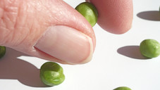 Schubladenzieher und Erbsenzähler