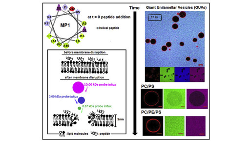 wespen studie chart1 unileeds unisaopaulo