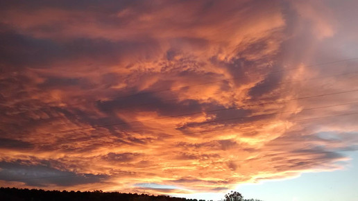 10495866 824944744236293 6327034796252913940 o