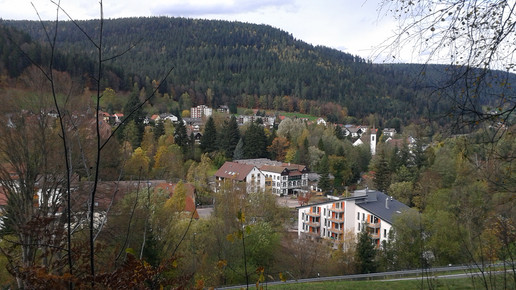 Enzkloesterle1 gulde