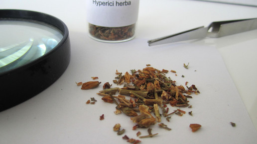 Hyperici herba 2 aa
