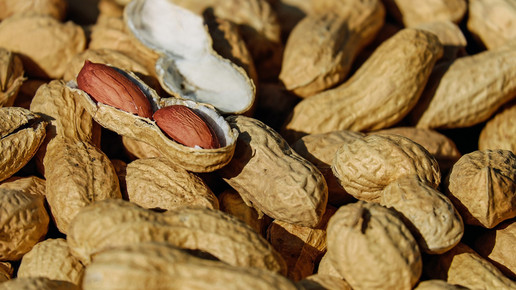 Erdnussallergie: Ausnahmegenehmigung für Erhaltungstherapie