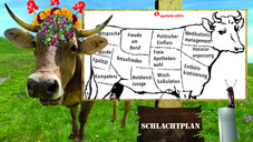 Die besten Stücke vom Apotheker