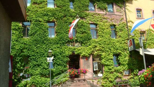 Apotheke Stadtprozelten Wikipedia