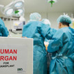 Chirurg: Organe nach Erfolgschance vergeben