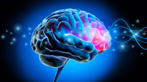 Forscherteam entwickelt Blut-Hirn-Schranken-Modell