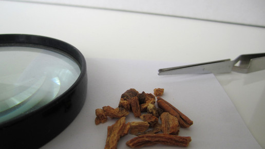 Gentianae radix 1 aa