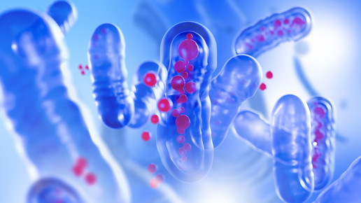 WHO bestätigt Marburg-Fieber-Ausbruch in Tansania