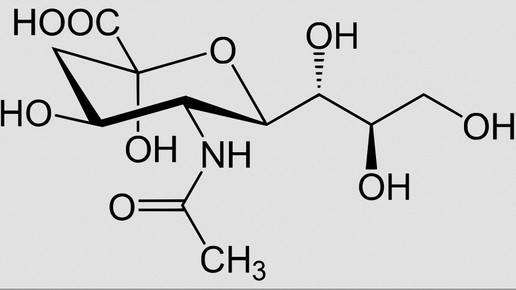 N-Acetylneuraminsaeure wikipedia