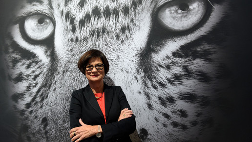 aliud blumenthal leopard cs