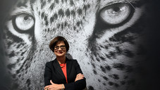 Expopharm: VIP-Galerie