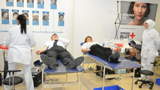 BMG spendet Blut BMG spendet Blut