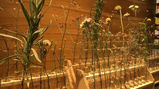 bellevue-apo fenster8 bellevue-apo