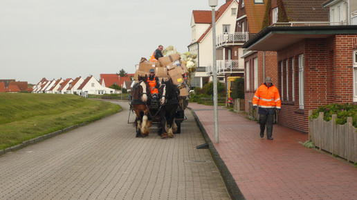 Juist Muellabfuhr-Ramessos-wiki