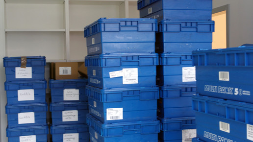 flora-apo170711 9 flora-apo