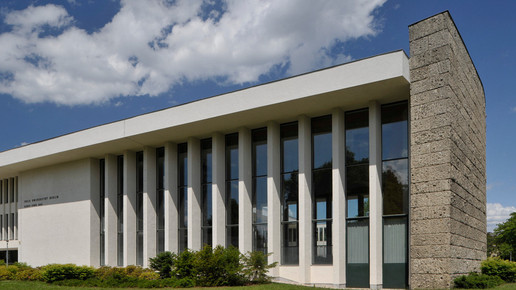 Spermidin gegen das Vergessen