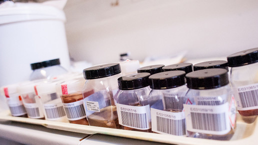 labor charite11 andreas domma