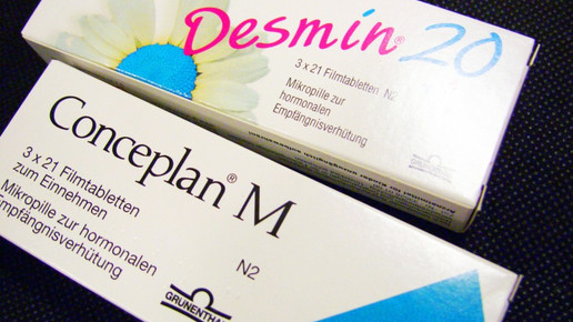 0013-desmin conceplan01-neu