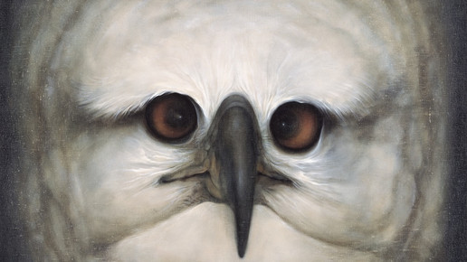 11164728 1623558041219222 3222298079034641465 o