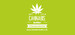 DCI Cannabis Institut GmbH