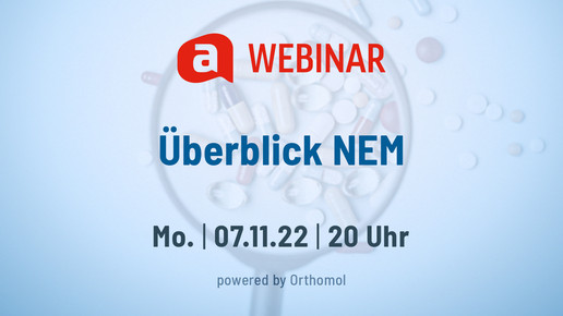 Überblick NEM: Qualitäten und Empfehlungen