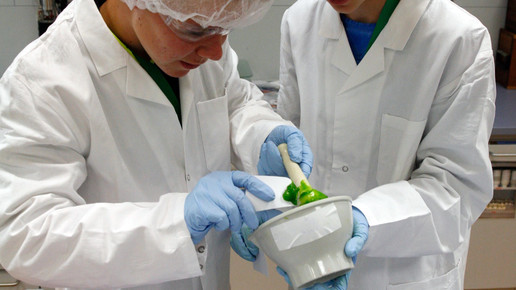 boysday4 boehringeringelheim