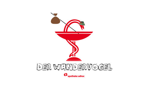 41 wandervogel