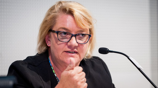 hsk debatte schulz-asche2 domma