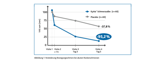 Liniendiagramm zeigt Rückgang von Rückenschmerzen in Bewegung bei Kytta Schmerzsalbe vs. Placebo über 5 Tage. Kytta: −95,2 %, Placebo: −37,8 %. Blaue Linie für Kytta fällt stark, graue Linie für Placebo fällt moderat.