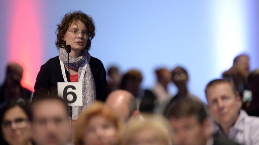 delegierte wehr 20140918-1