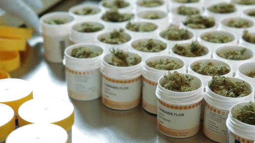 Cannabis OMK11-screenshot