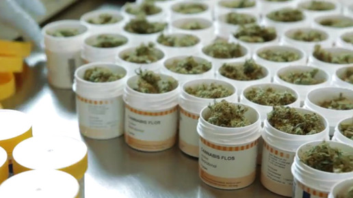 Cannabis OMK11-screenshot