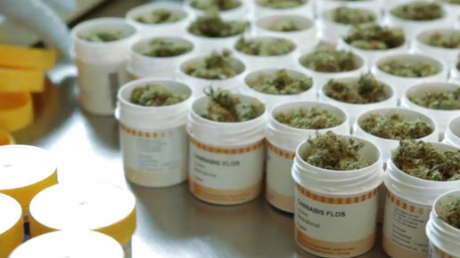 Cannabis OMK11-screenshot