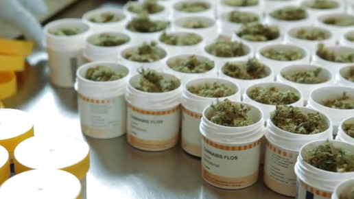 Cannabis OMK11-screenshot