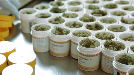 Cannabis OMK11-screenshot