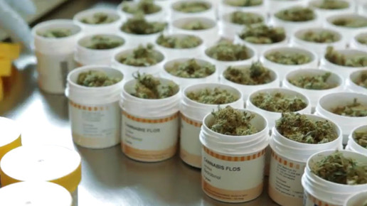 Cannabis OMK11-screenshot