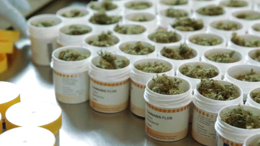 Cannabis OMK11-screenshot