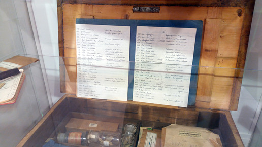 apo dr kammerer herbarium3 kammerer